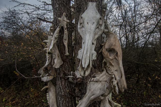 Przerażający totem pod Warszawą