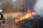 Mieszkańcy Podkarpacia masowo wypalają trawy