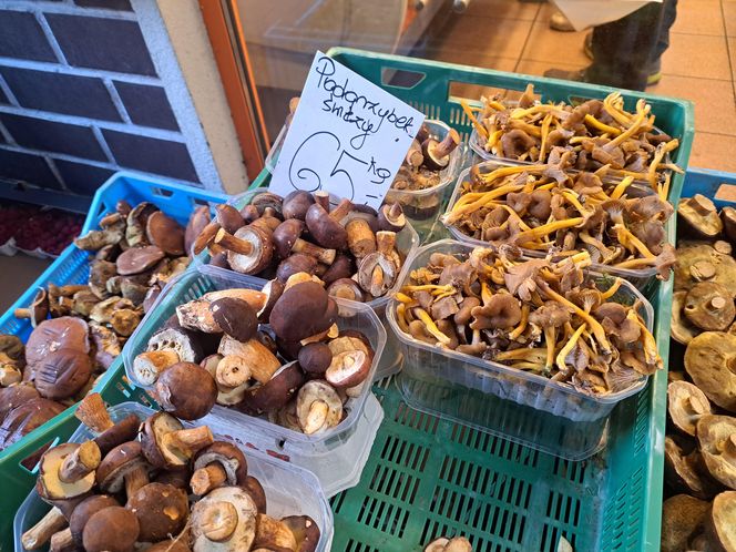 Ceny grzybów na Nowym i Starym Kleparzu w Krakowie