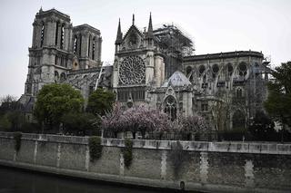 Śląskie: Wierni uzbierali 36 tys. euro. Przekazali je na odbudowę Notre Dame