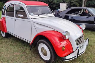 Klasyczne auta pod wiatrakami w Osiecznej