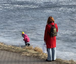 Skrajna nieodpowiedzialność. Spacerują po płytkim lodzie z dziećmi i psami. Dramat na Pradze-Południe w Warszawie