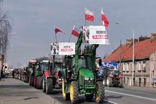 600 blokad  i dziesiątki tysięcy rolników. Dobiega końca kolejny protest przeciw Zielonemu Ładowi i towarom z Ukrainy