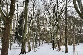 Nowe oblicze Parku Bednarskiego. Koniec remontu coraz bliżej