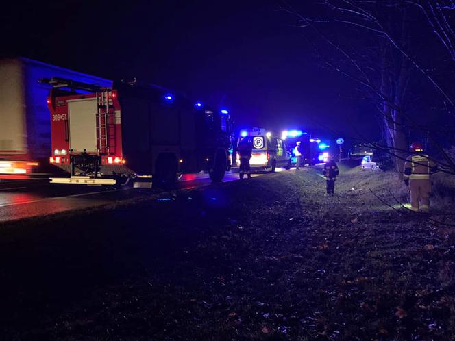 Wypadek w pobydgoskim Żołędowie. Osobówka uderzyła w drzewo! [ZDJĘCIA]