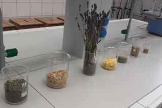Wrocławscy naukowcy pracują nad zapachami