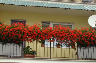 Najpiękniejsze balkony w Starachowicach