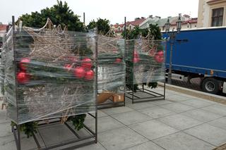 Ruszył montaż oświetlenia w Rzeszowie. Choinka już na Rynku! 