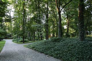 Zieleń, kwiatowe rabaty i piękne ptaki. Oto spacer po Ogrodzie Saskim w Lublinie 