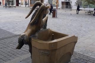 Ten koziołek nie skakał, a ma złamaną nóżkę. Co dalej z lubelskim poidełkiem? 