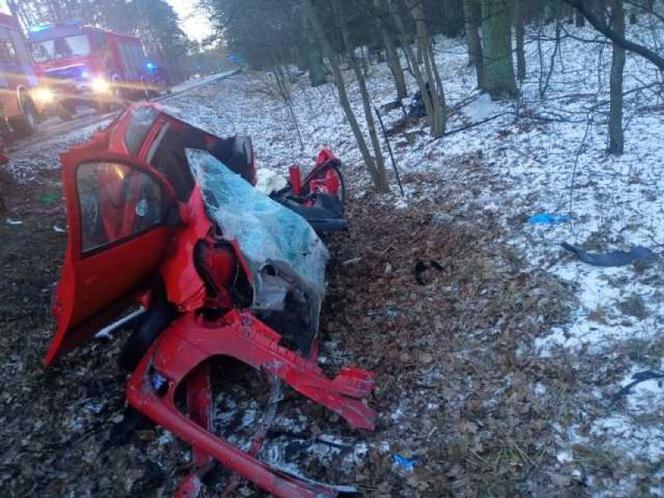 Śmiertelny wypadek w Parkowie. Dwie osoby nie żyją. 