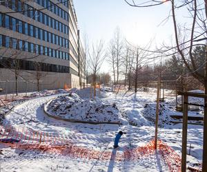 Budowa parku linearnego przy ul. Suwak w Warszawie
