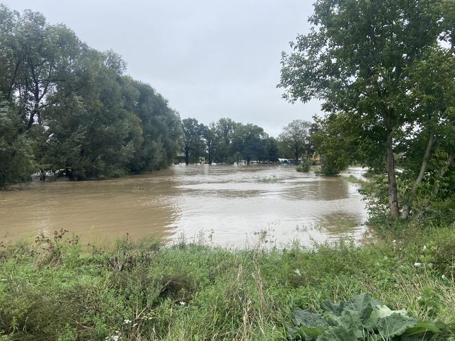 Ząbkowice Śląskie (woj. dolnośląskie)