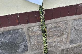 Niedawno był bohaterem, teraz jest podejrzanym. Wpadł z wykrywaczem metali i łopatą w rękach