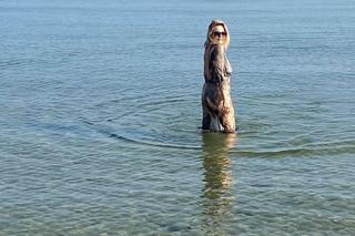 Grażyna Szapołowska na plaży w Juracie