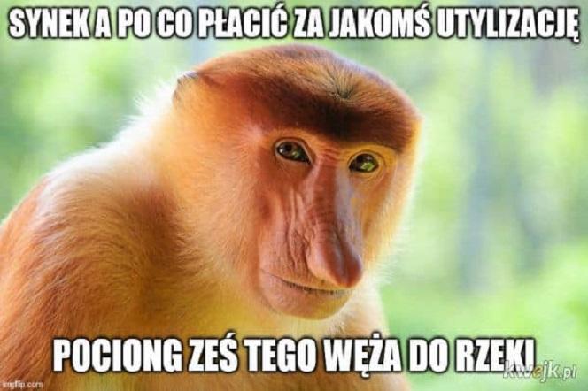 Zatruta Odra. Internauci komentują reakcje rządu [MEMY] 