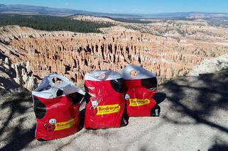 Gdynianin robi furorę w internecie. On i jego reklamówka z Biedronki są hitem sieci [ZDJĘCIA]