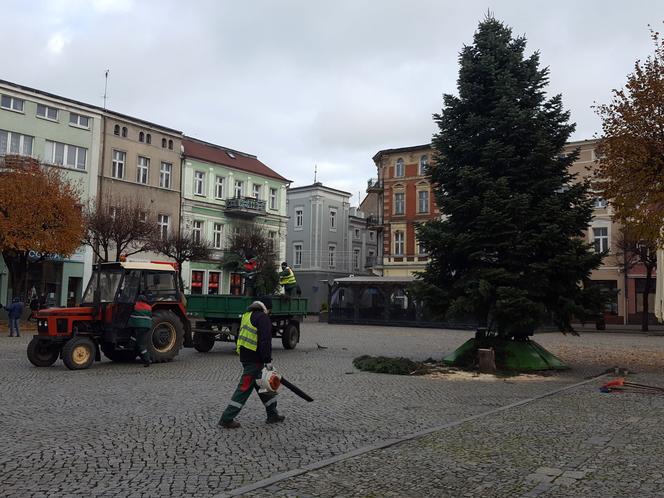 ​Leszno szykuje się na święta. Na rynku przy ratuszu stanęła choinka