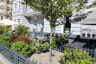 Zielone Podwórka i Zielone Przedogródki Szczecina