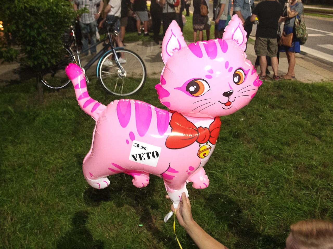 PROTEST POD DOMEM JAROSŁAWA KACZYŃSKIEGO.