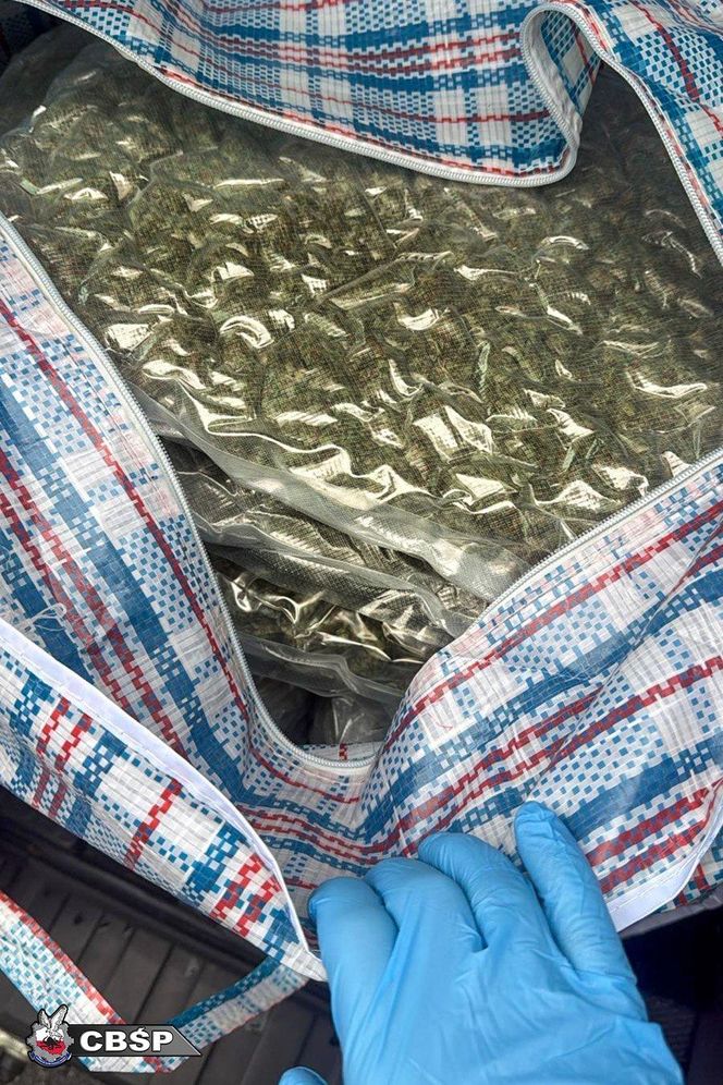 Akcja CBŚP. Pseudokibic zatrzymany