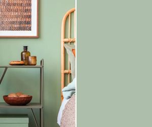 Kolekcja Designer Colour: Sage