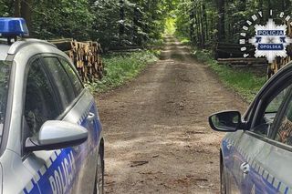 Tak wyglądały poszukiwania 11-letniej Patrycji