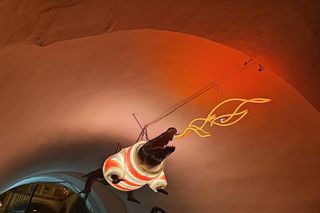 Jarmark bożonarodzeniowy w czeskim Brnie 2024