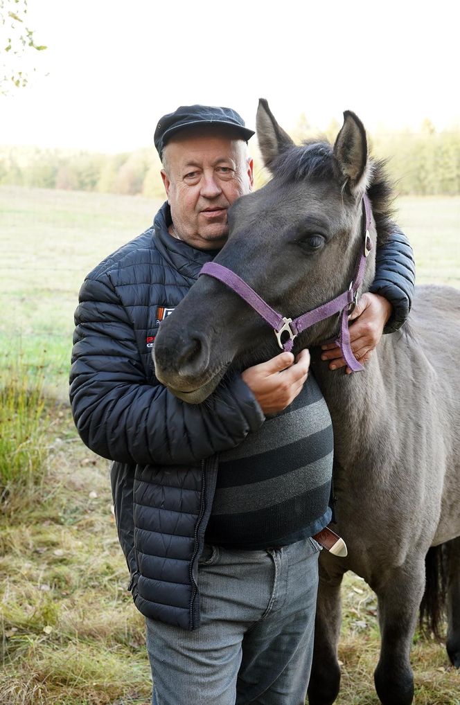 Podlaskie. Wataha wilków terroryzuje mieszkańców wioski. Zabijają zwierzęta, wchodzą na podwórko