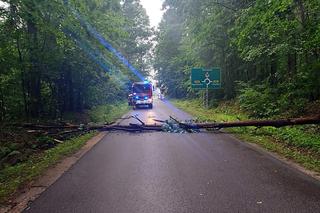 Niemal 5 tys. osób bez prądu. Trwa usuwanie skutków burz, które przeszły nad regionem