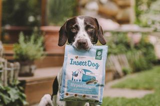 Nowe karmy dla zwierzaków - Josi oraz Green Petfood