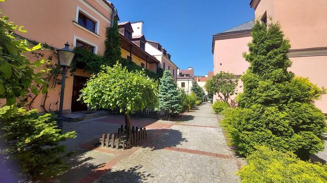 Zamość