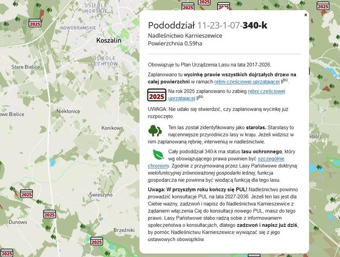 Mapa wycinki lasów 2025 - woj. zachodniopomorskie