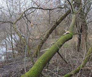 Spacer doliną Bystrzycy na lubelskim Wrotkowie