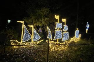 Lumina Park w Poznaniu powraca. Znamy pierwsze szczegóły