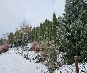 Zima przyszła na Podkarpacie w listopadzie