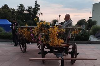 FREE(RA)DOM FESTIWAL