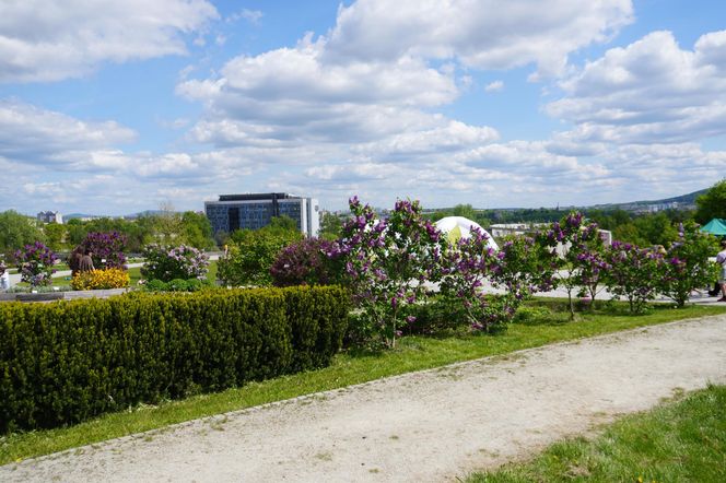 Ogród Botaniczny w Kielcach