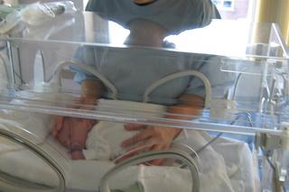 Świadczenie Za życiem 2024