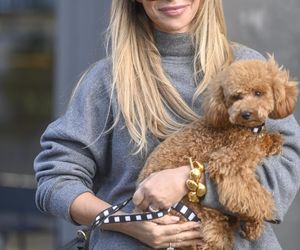 Te psy skradły serca gwiazd! 