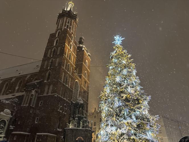 Choinka rozbłysła na Rynku Głównym. Tak wygląda Kraków w zimowej scenerii! 