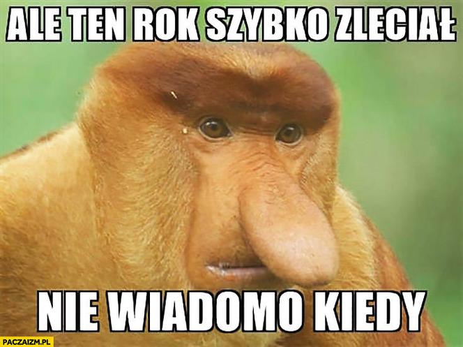 Memy na zakończnie roku szkolnego. Z tego śmieją się uczniowie [ZDJĘCIA]