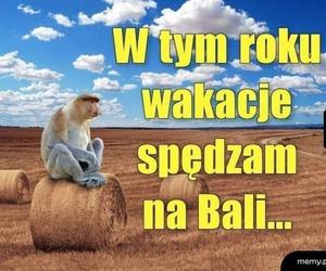 Wakacje trwają w najlepsze. Te memy rozbawią cię do łez!