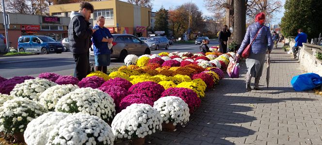 Przygotowania do Wszystkich Świętych Zamość