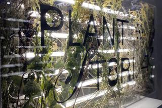 Wystawa PLANTSTORIA