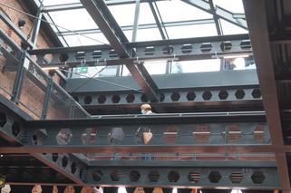 Młyny Rothera zapraszają do Zaczynu. Nowa przestrzeń już otwarta [ZDJĘCIA]