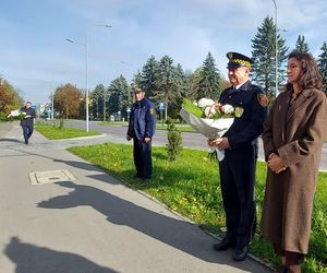 Upamiętnie daru krwi Krok za krokiem