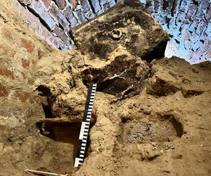 Pierwsze odkrycia w tajemniczej krypcie w Kazimierzu Biskupim