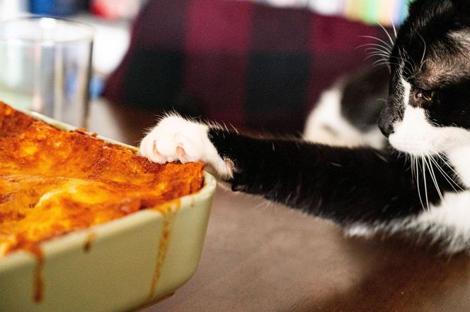 Włoski obiad bez stania godzinami w kuchni? Leniwa lasagne to danie dla ciebie