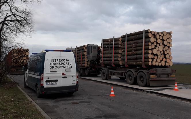 Niesprawne i przeładowane transporty drewna zatrzymane przez ITD. Rekordzista ważył 57 ton!
